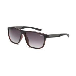 IDEE S3102 C2 58