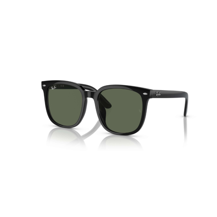 Rayban Fashion Trending RB4401 D601/7155 Sunglass For Unisex